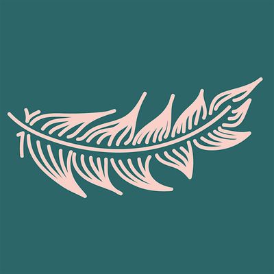 Chouette Designs