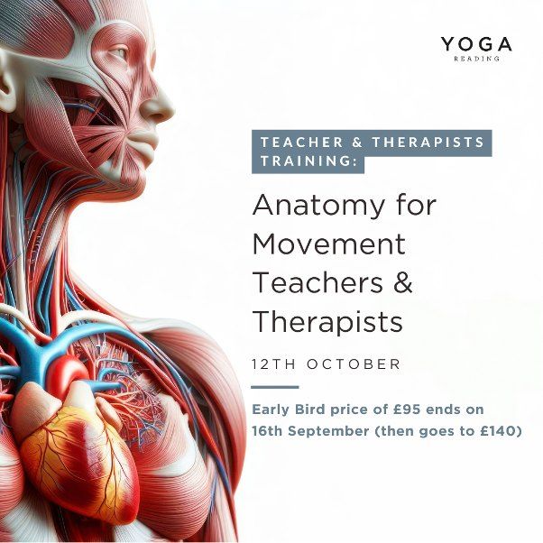 Anatomy for Yoga Teachers, PT\u2019s and Therapists. 5 hour certified refresher