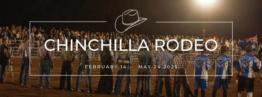 Chinchilla Rodeo