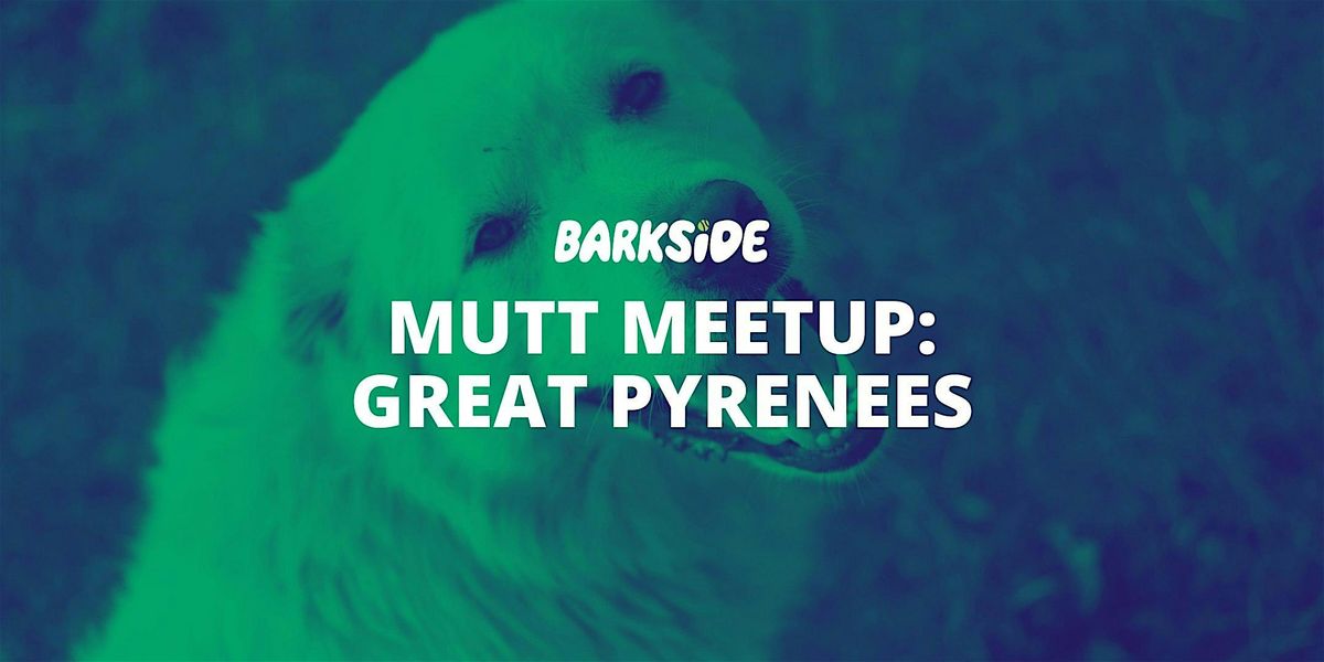 Mutt Meetup: Great Pyrenees