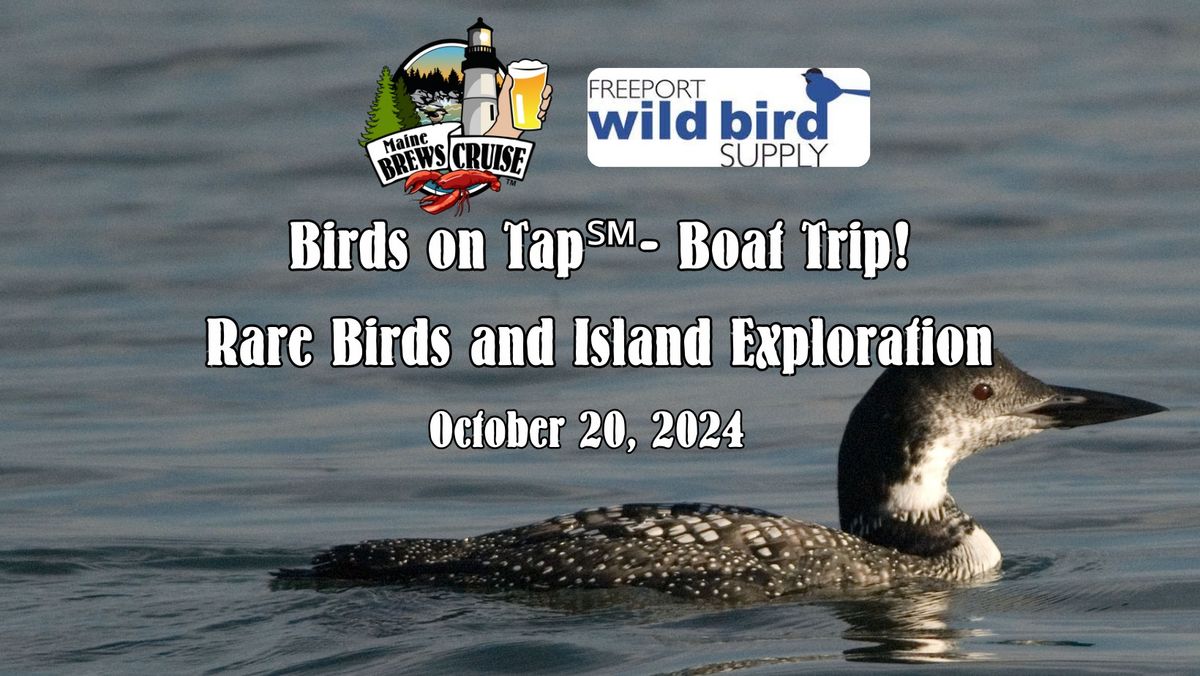 Birds on Tap - The Boat Trip! Rare Birds and Island Exploration