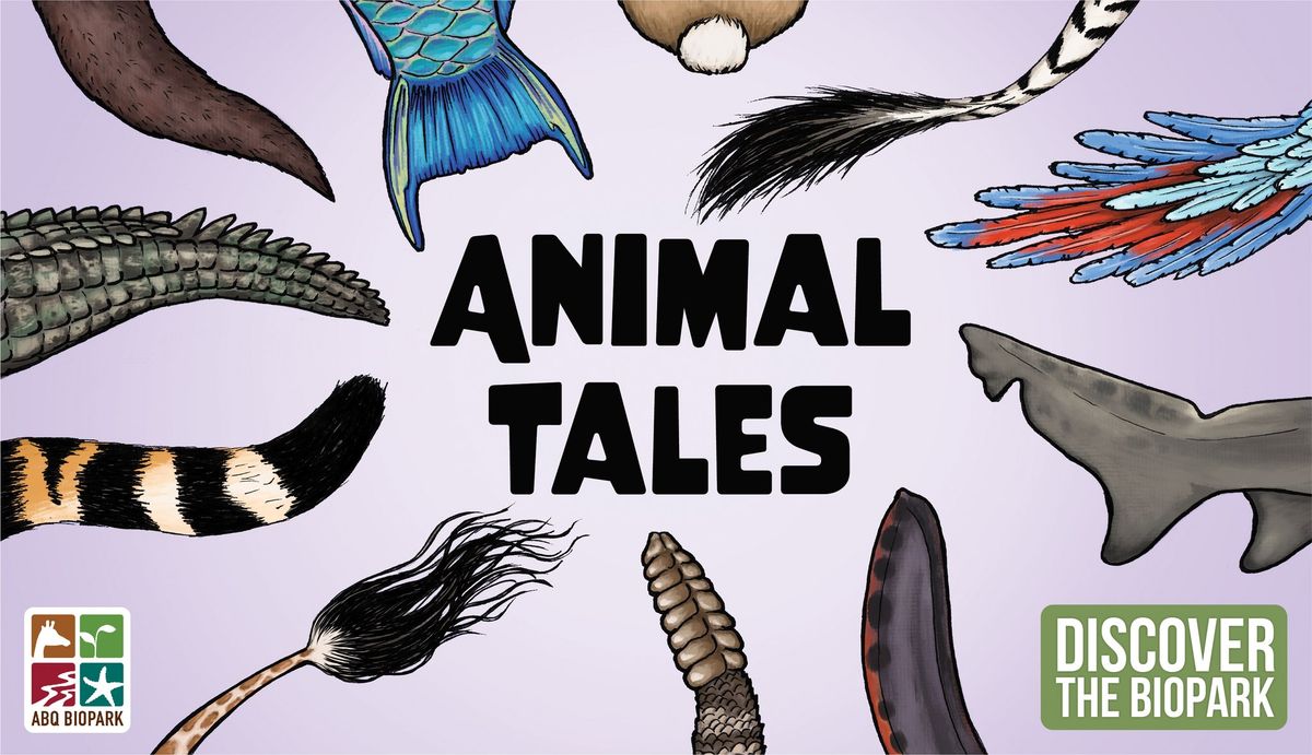 Animal Tales with the ABQ BioPark