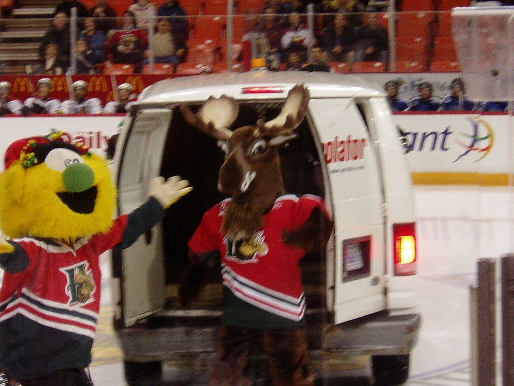 Saint John Sea Dogs at Halifax Mooseheads