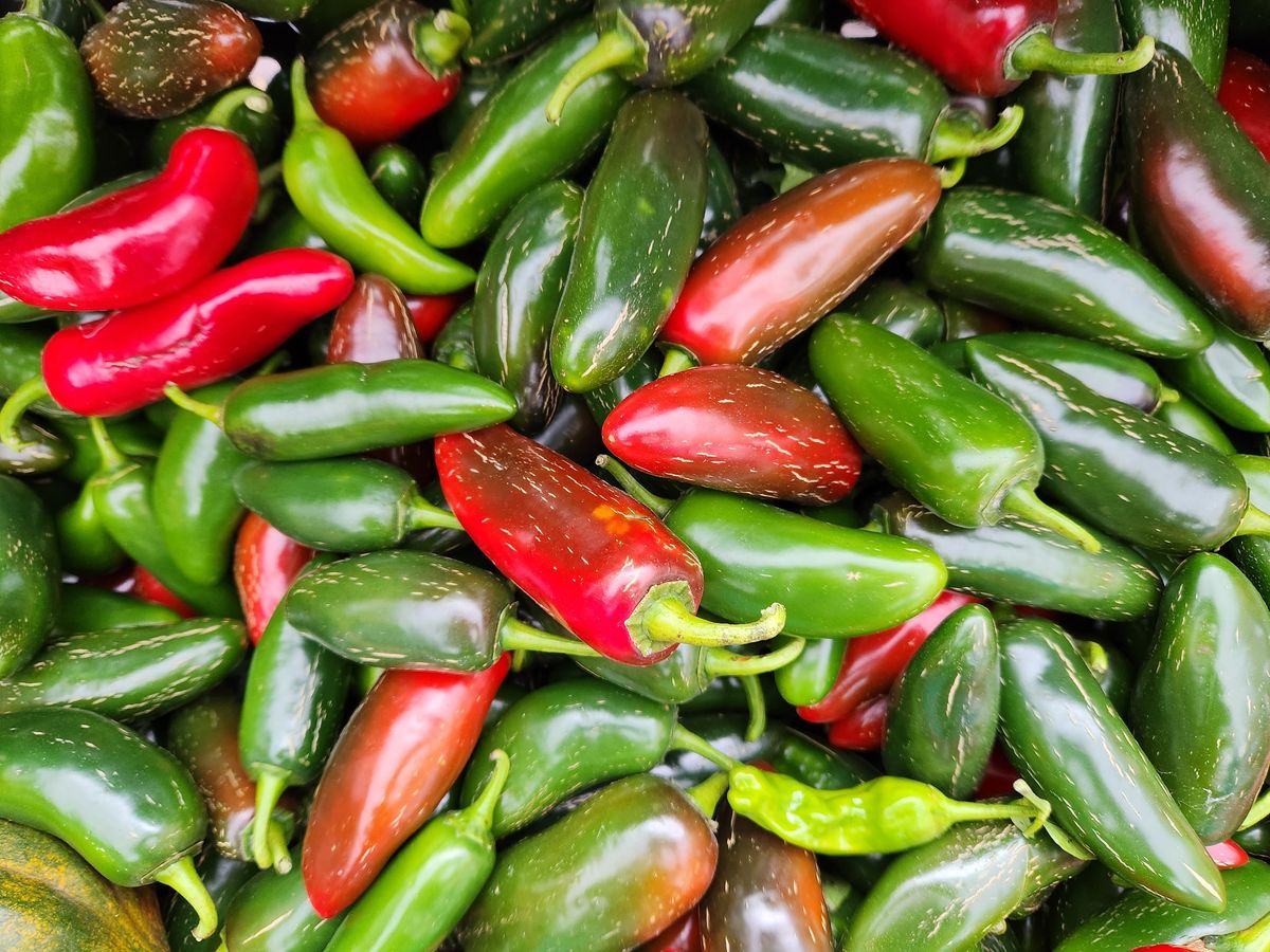 Omaha Farmers Market - Old Market