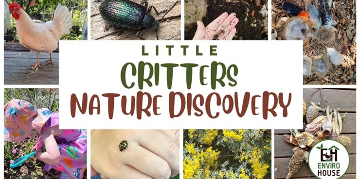 Little Critters Nature Discovery - Wednesdays 9th - 30th October, 10.45am