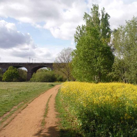 OSTERLEY PARK WALK - SUNDAY