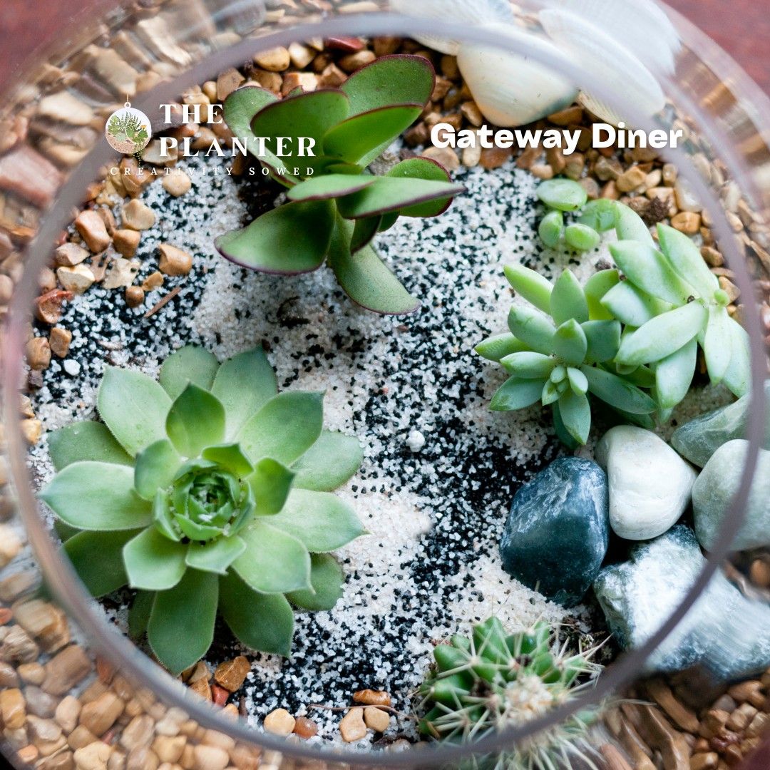 Plant & Sip at The Gateway Diner