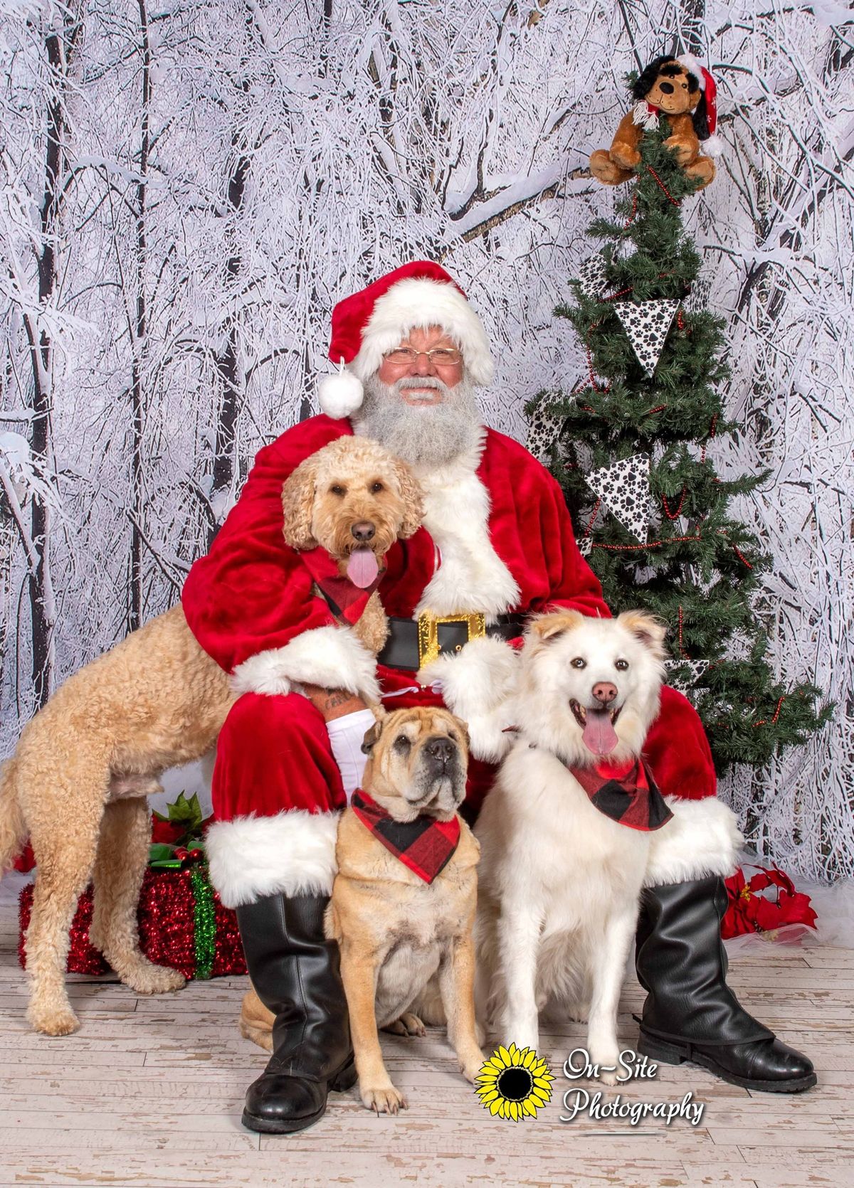 Photos with Santa 'Tiny'