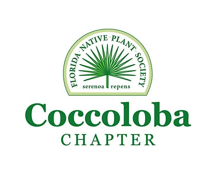 Foraging the Forest at Cocohatchee Creek Preserve