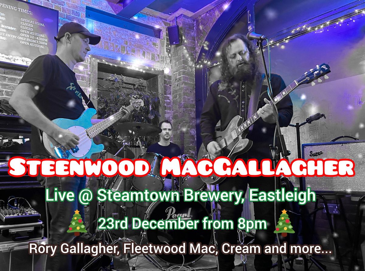 Steenwood MacGallagher - Live at Steam Town 