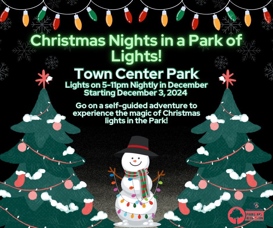 Christmas Nights in a Park of Lights