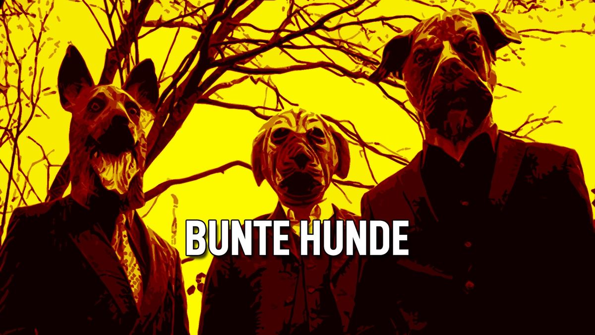 Bunte Hunde | Cafe Rocks