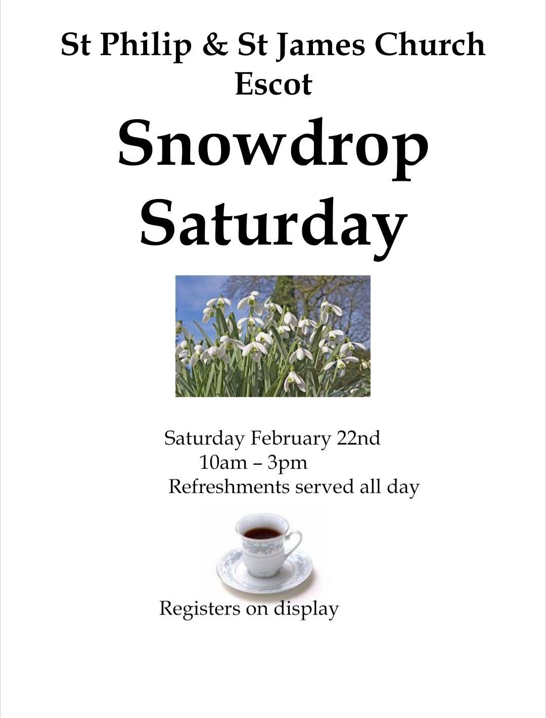 Snowdrop Day