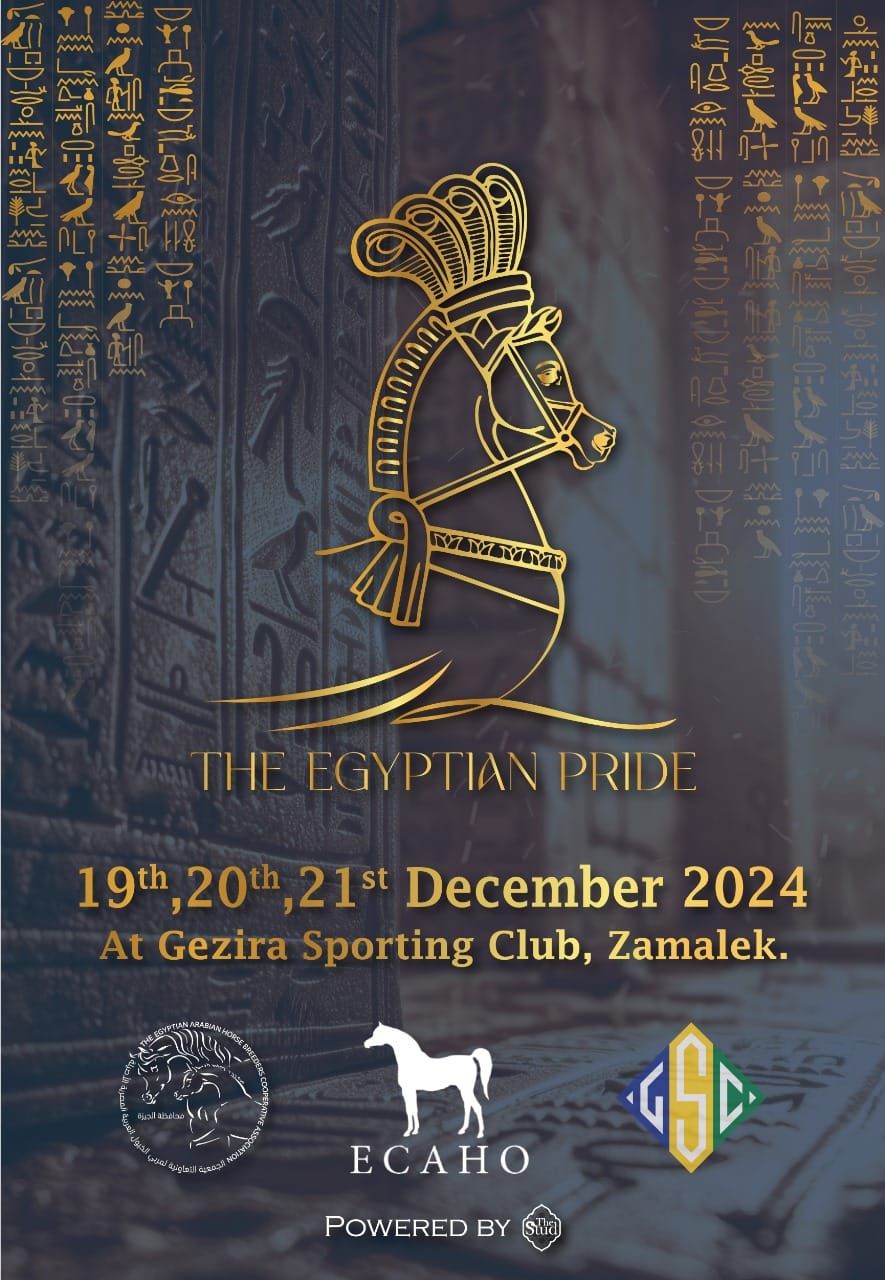 Egyptian Pride  \u0641\u062e\u0631 \u0645\u0635\u0631