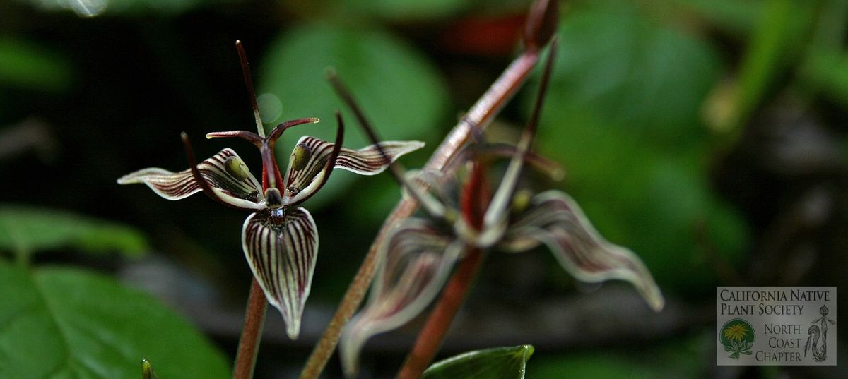 Native Plant Garden Tour