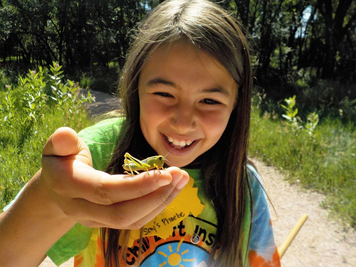 Nature's Classroom: Homeschool Field Trips