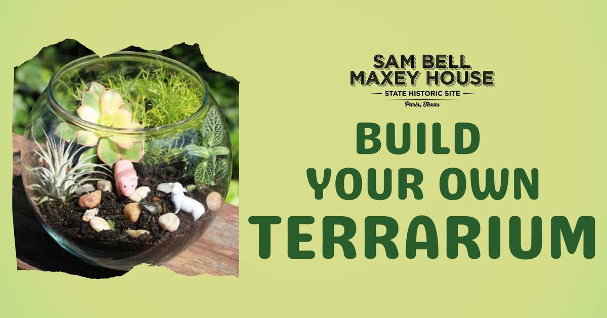 Build Your Own Terrarium