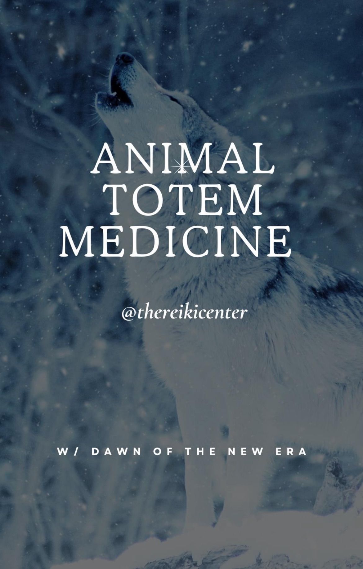 Discover Your Totem Animal 
