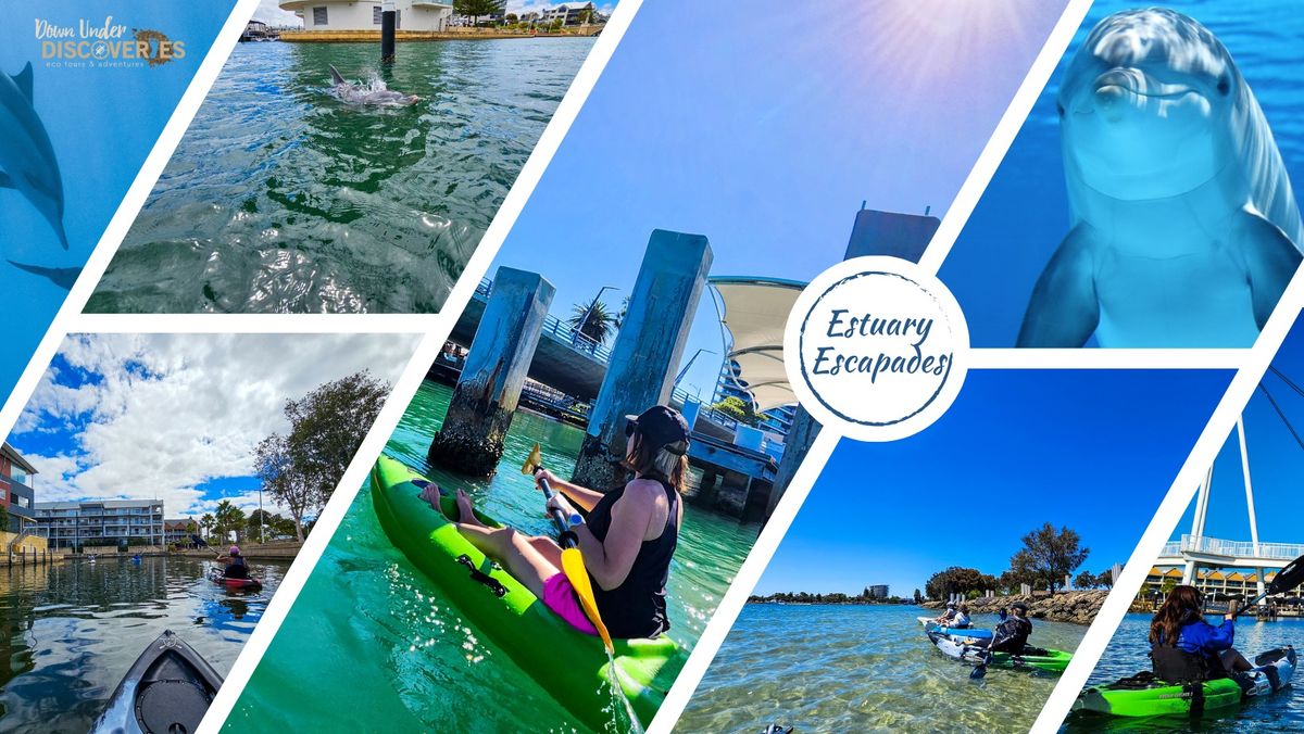 Estuary Escapades - Paddling Stories & Dolphin Watching Adventure