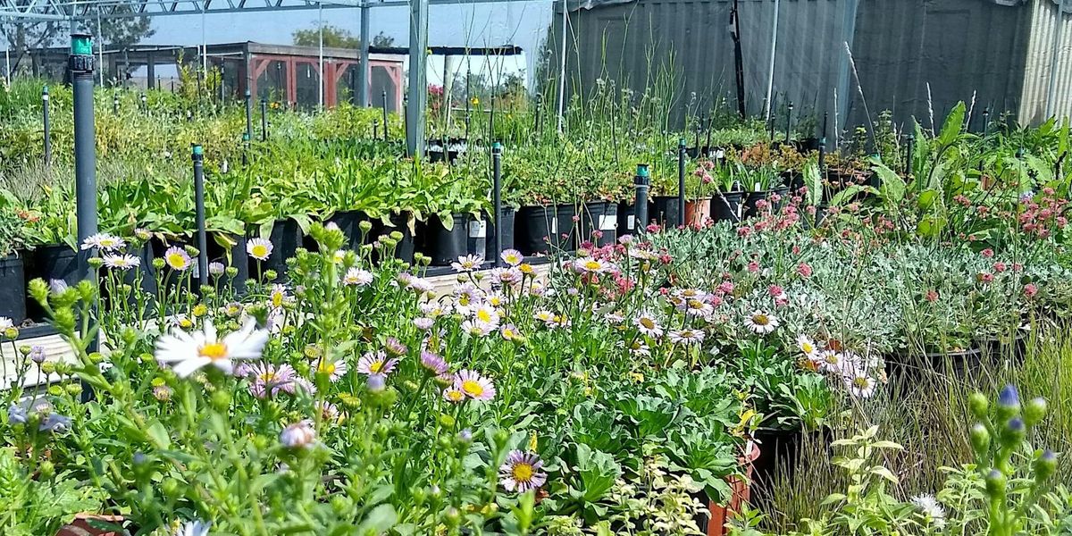 California Native Plants Sale and Open House