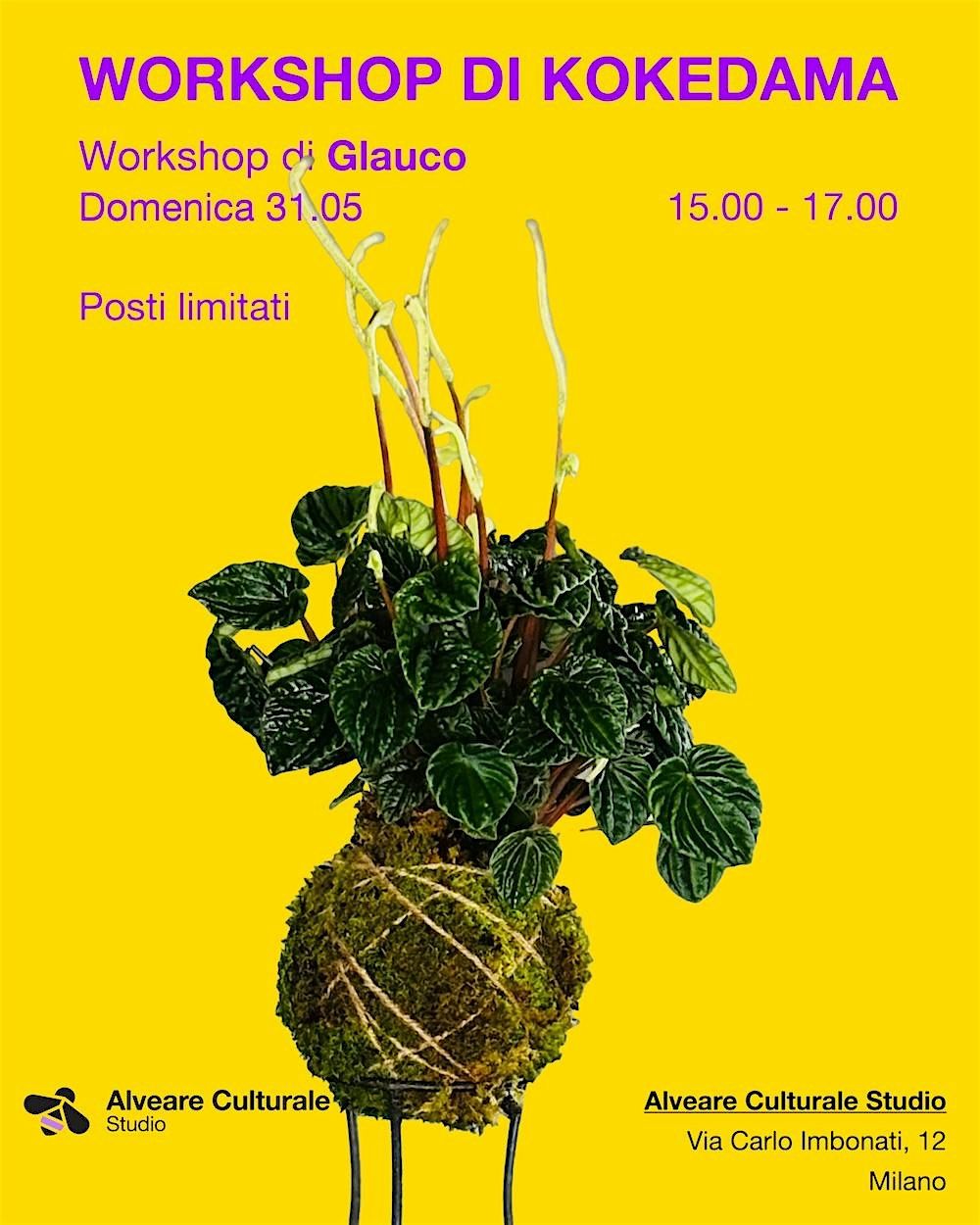 Workshop di Kokedama \u2014 L\u2019arte giapponese delle piante sospese
