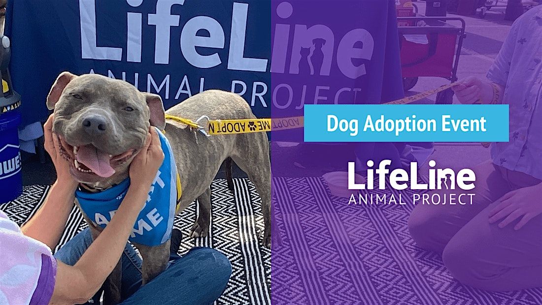 Pet Supplies Plus (Lilburn) Dog Adoption Event