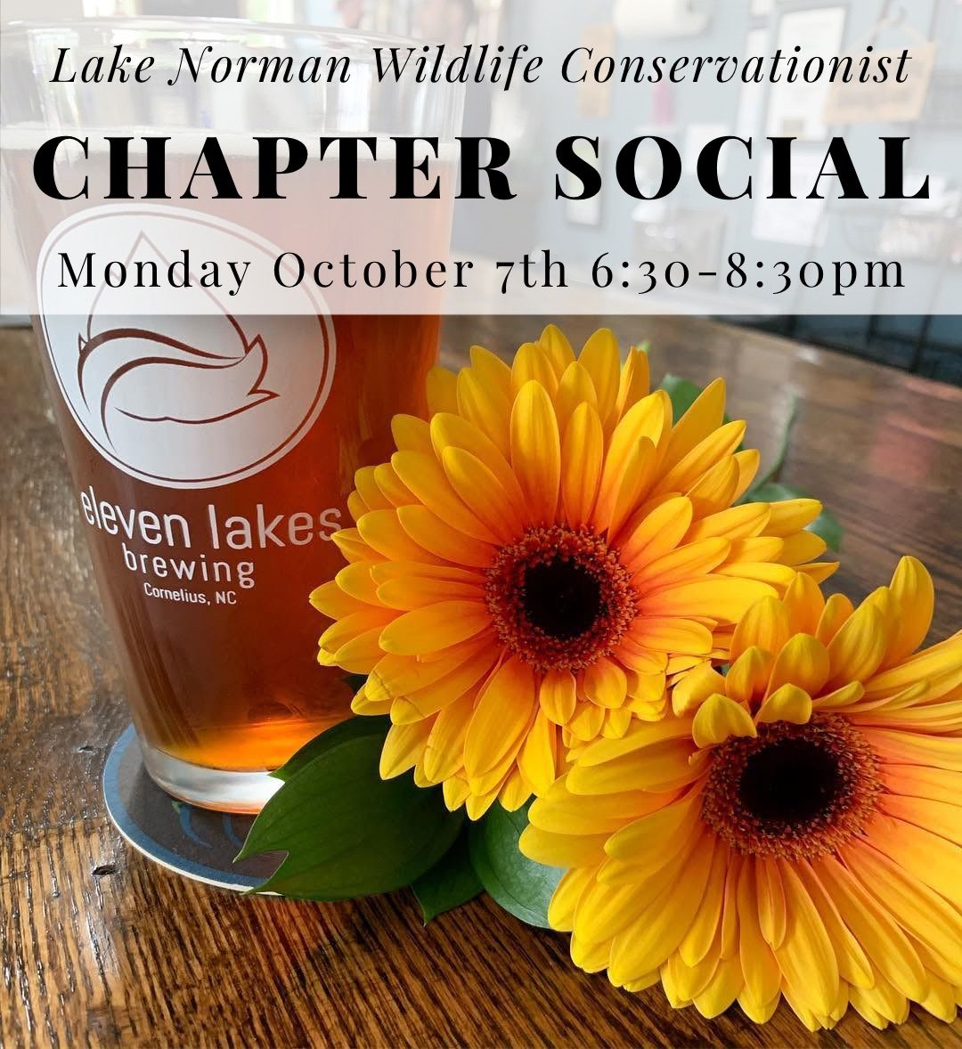 Chapter Social at Eleven Lakes Brewery