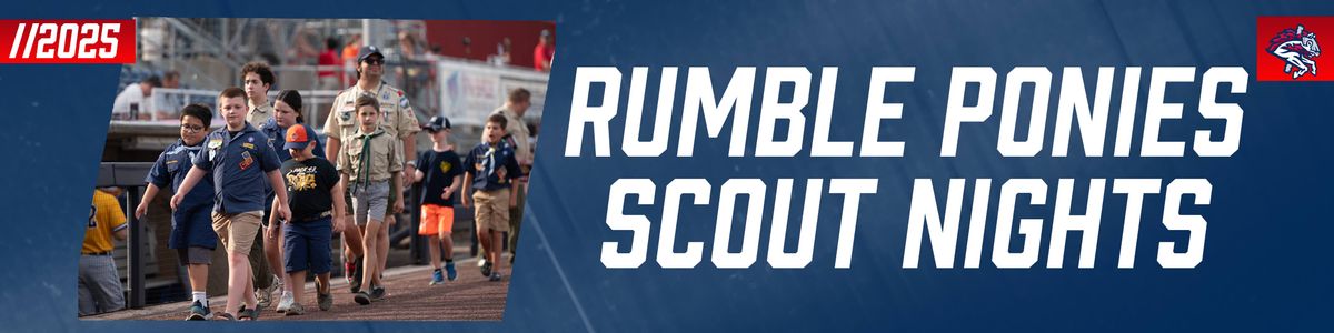 Portland Sea Dogs at Binghamton Rumble Ponies at Mirabito Stadium
