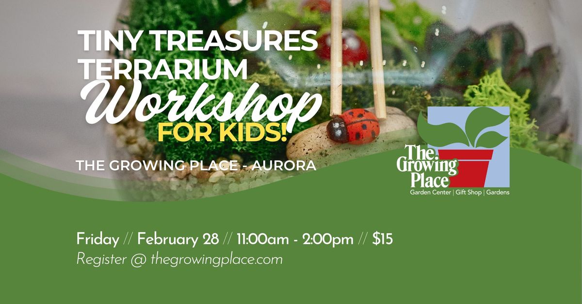 Tiny Treasures Terrarium Workshop for Kids - Aurora