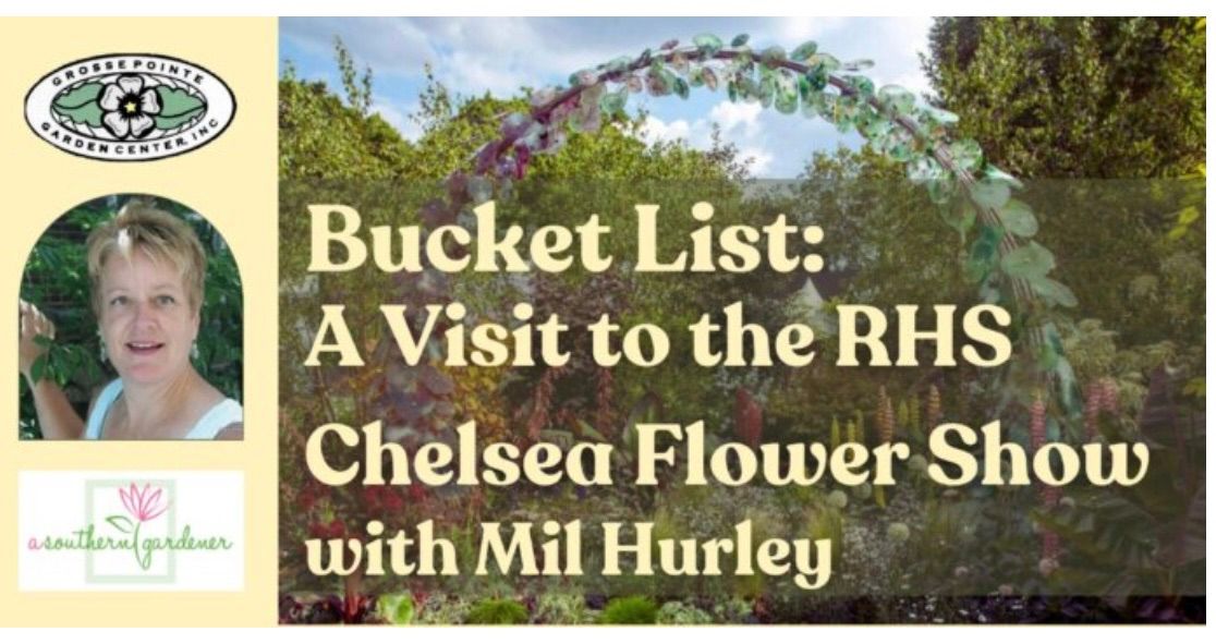 Mil Hurley presents the RHS 2024 Chelsea Flower Show