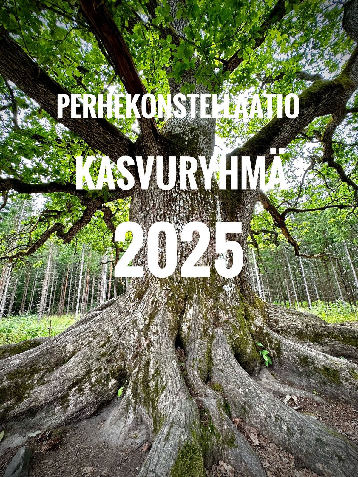 Perhekonstellaatio kasvuryhm\u00e4 2025