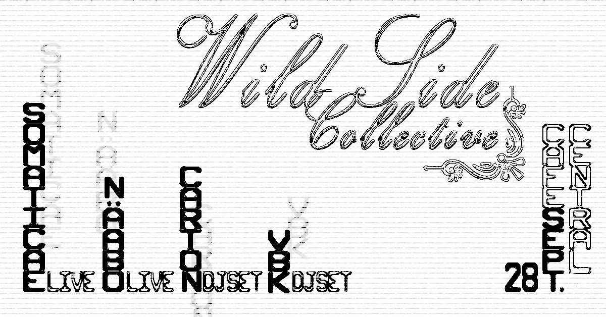 Wild Side Night w\/ Somaticae, N\u00e4abo, Carton, VBK