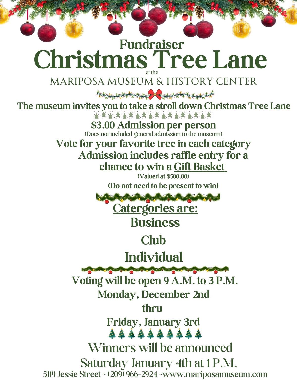 Christmas Tree Lane Fundraiser