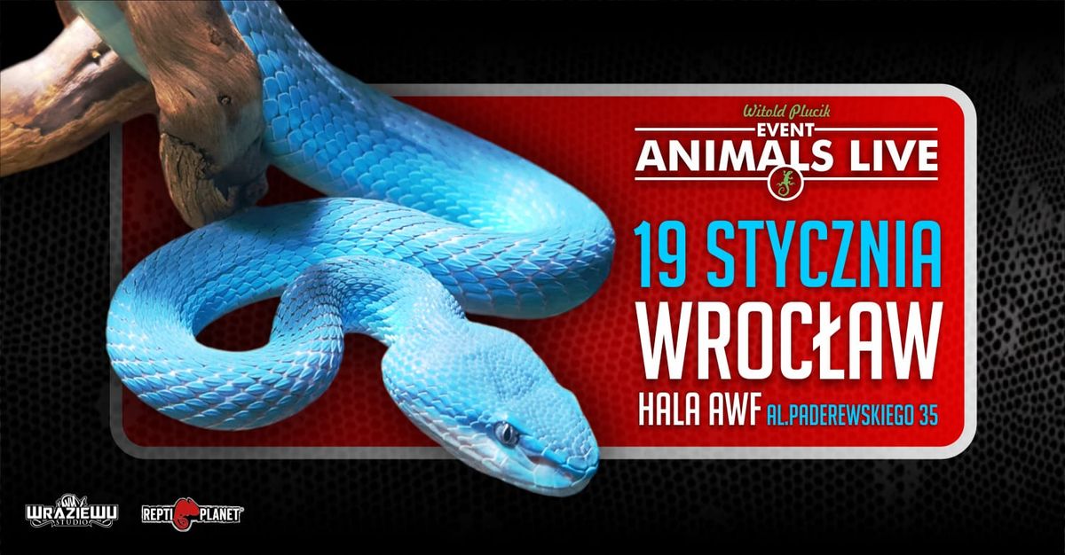 Animals Live Wroc\u0142aw - 19 Stycznia 2025 - Terrarystyka & Akwarystyka & Botanika