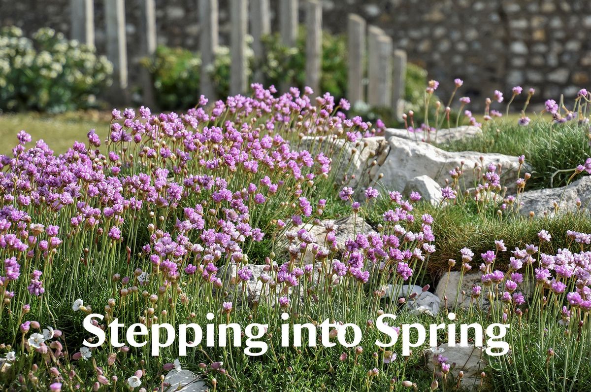 Stepping into Spring - Guided walk