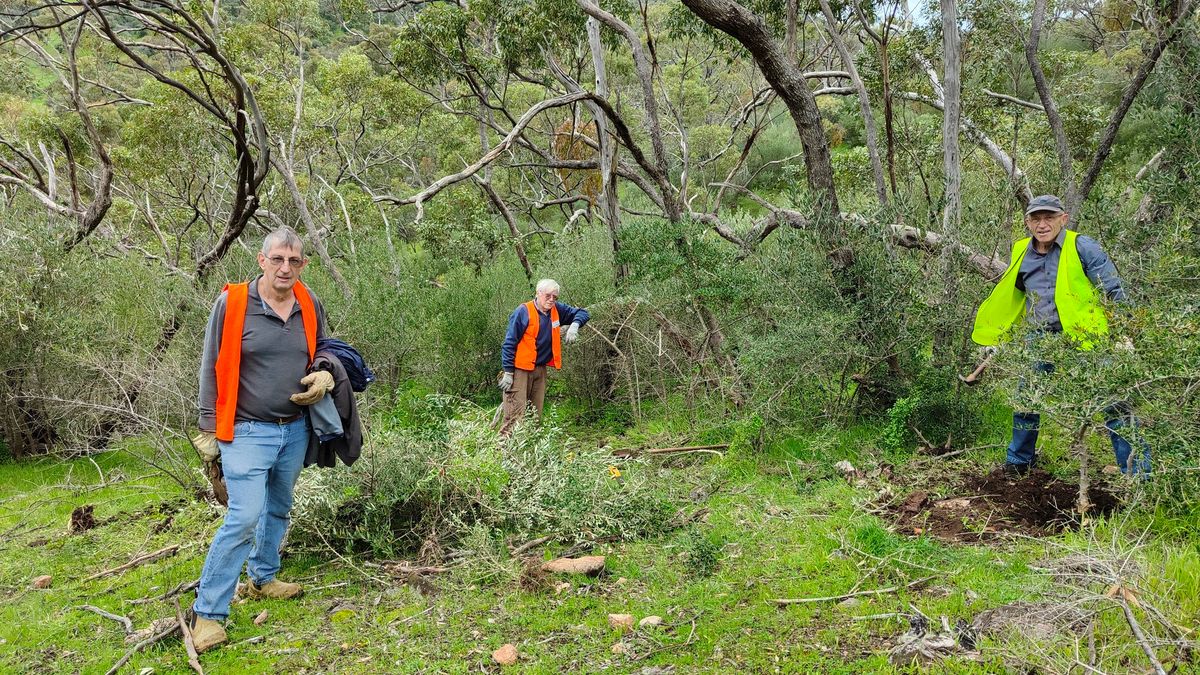 4th Creek Project habitat restoration