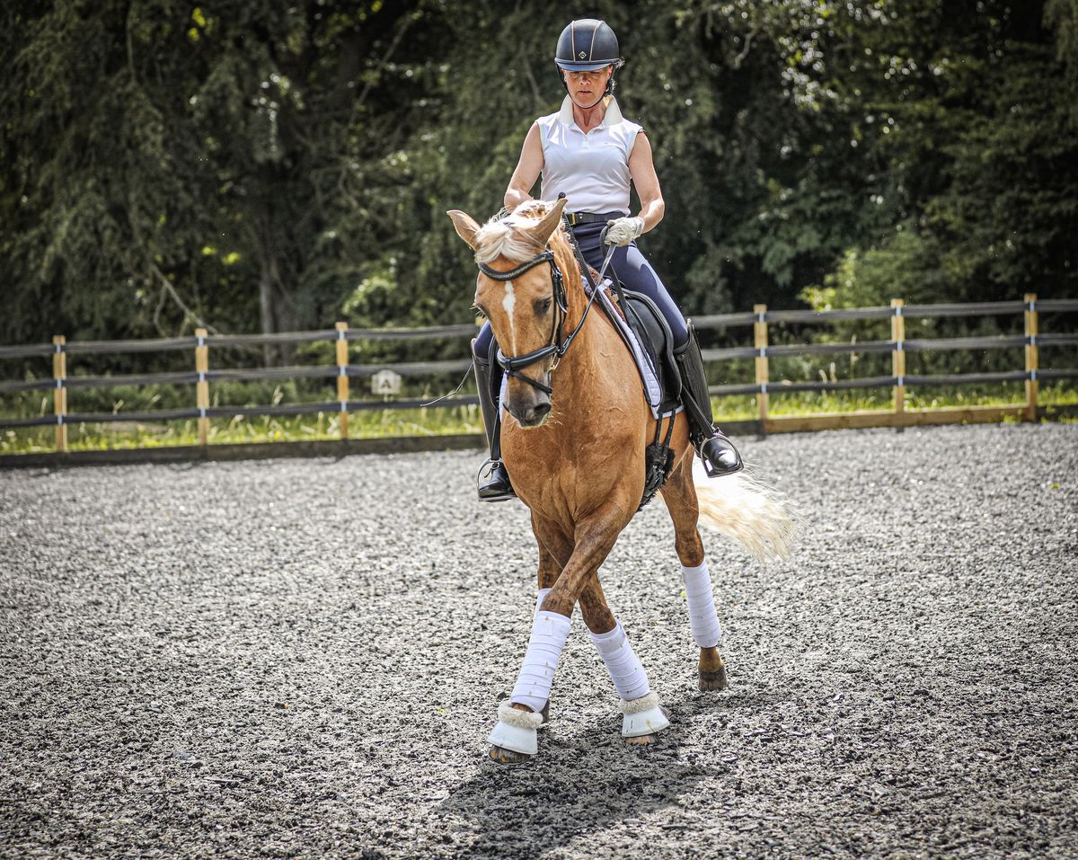 Dressage and Flatwork Clinic 