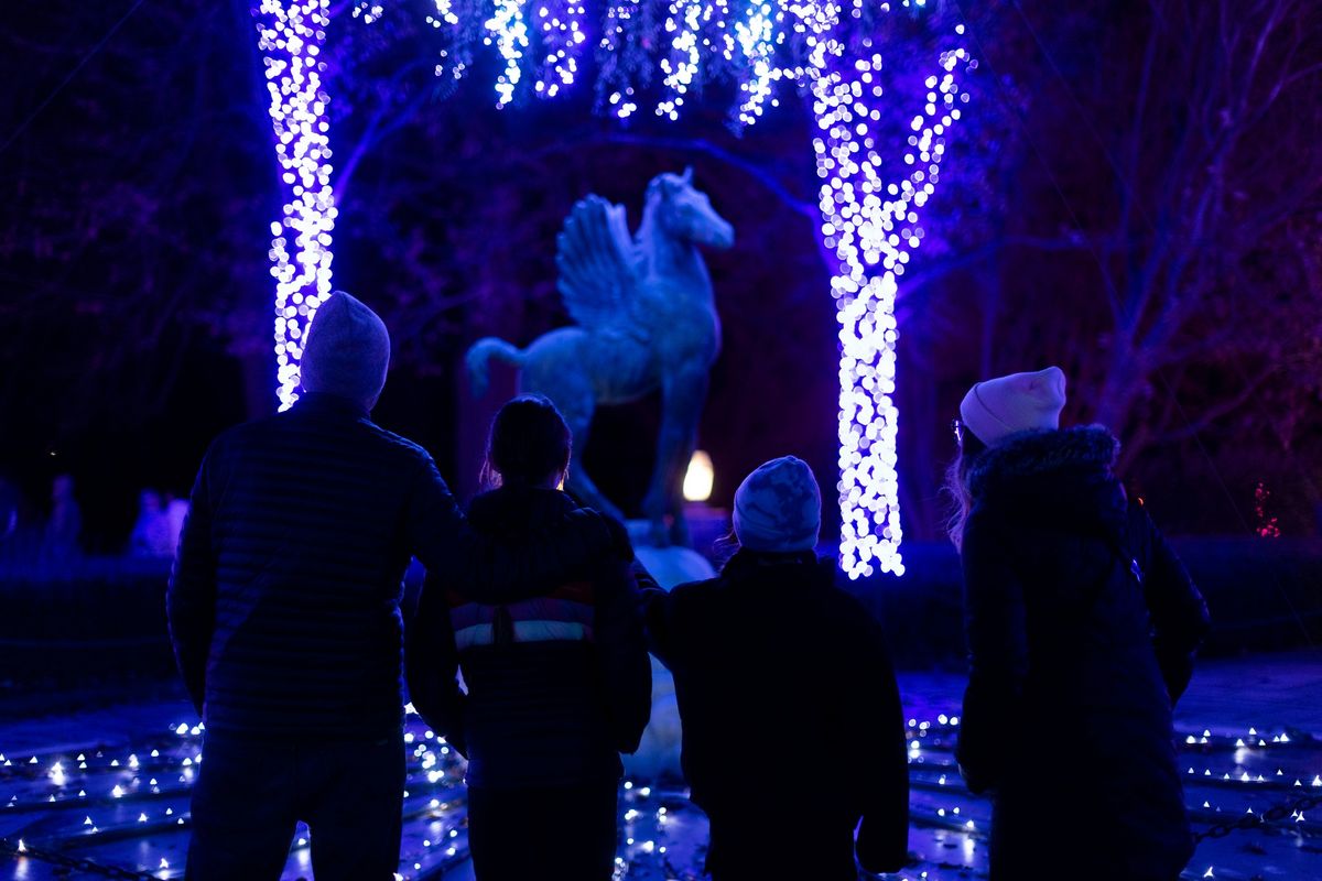 Winter Wonder Lights - Value Night