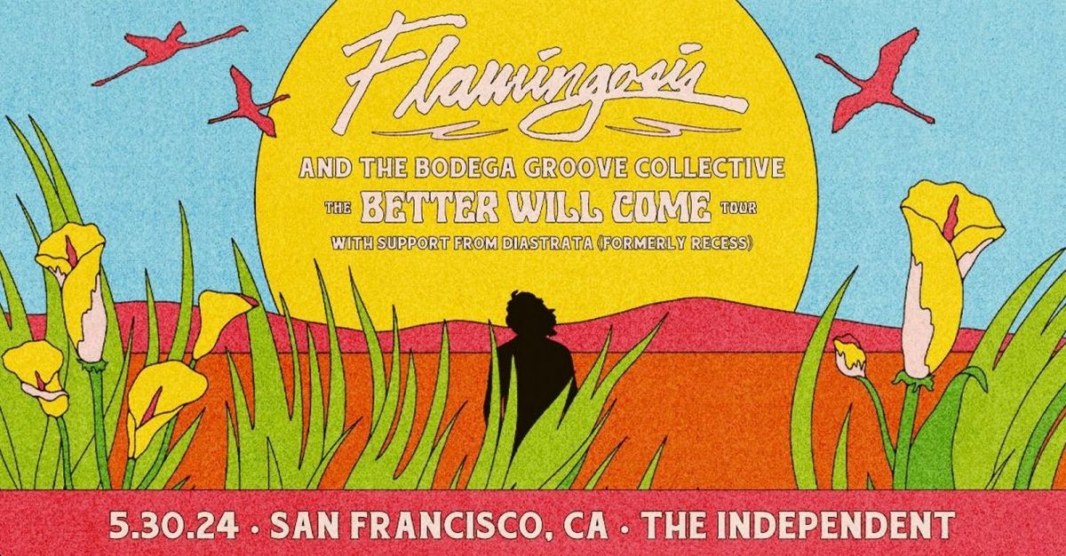 Flamingosis at The Melody Event Center - The Get Down Music Venue