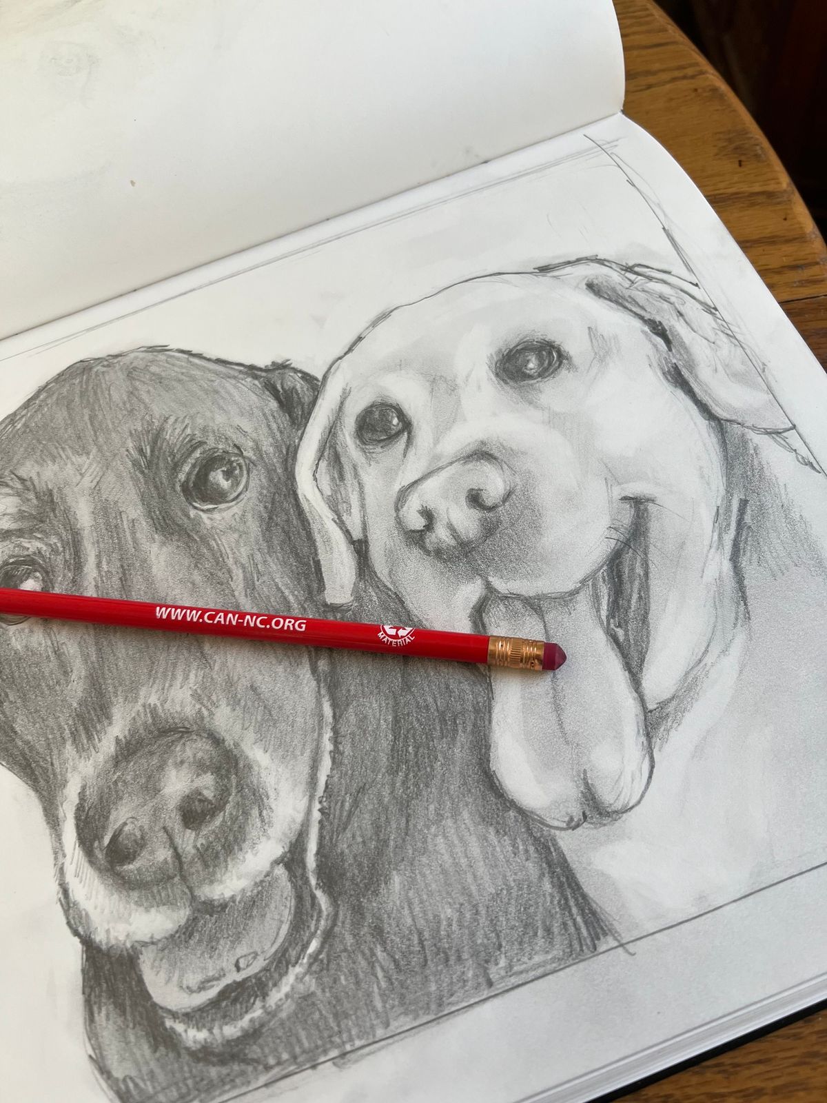 Drawing Workshop - Sketching Pets