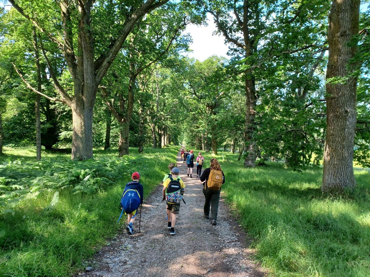 Guided Nature Walk to Ferry Point