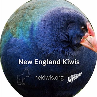 NE Kiwis