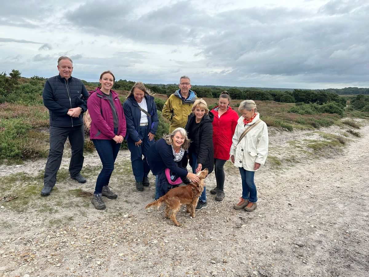 New Forest Walk & Work - Networking in Lymington