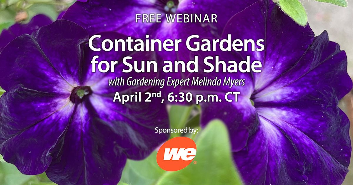 Container Gardens for Sun and Shade