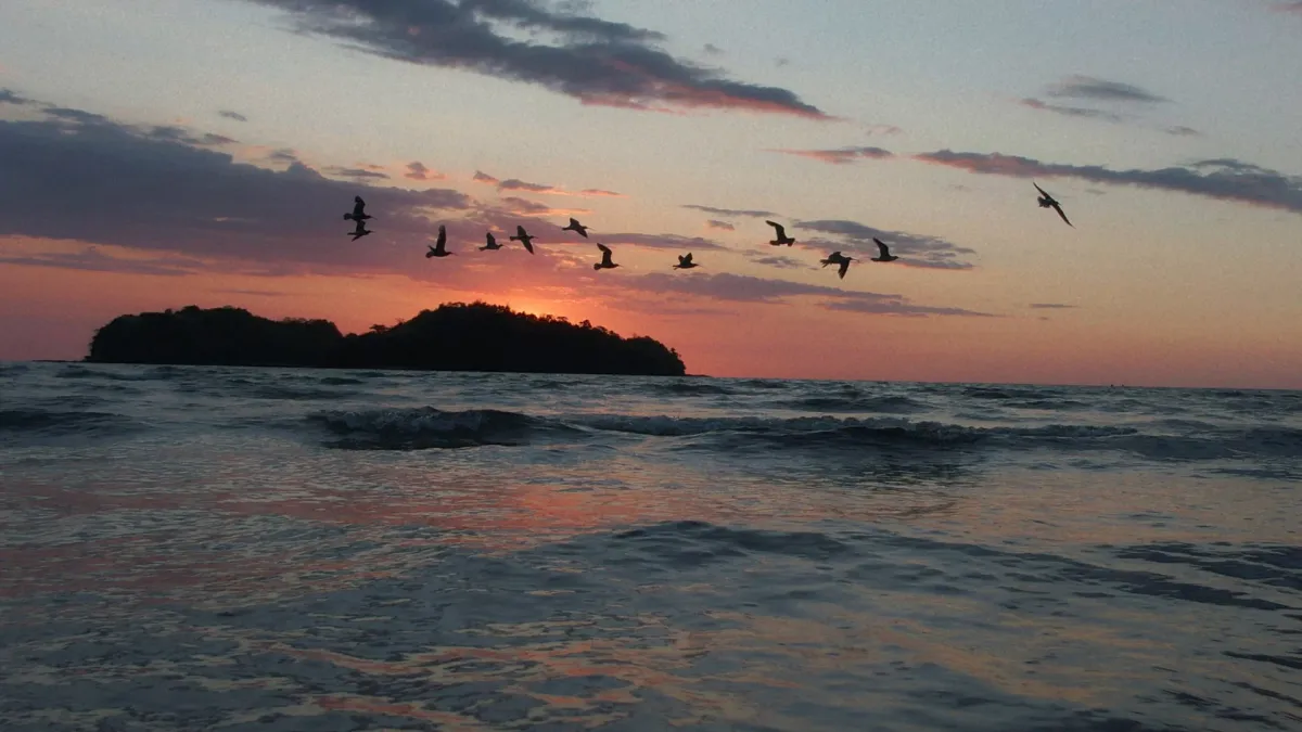 Sofiane Pamart in Berlin