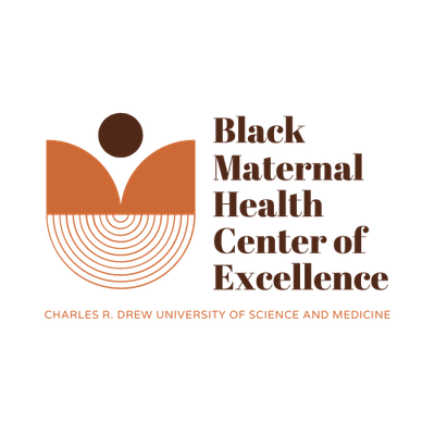 Black Maternal Health Center of Excellence