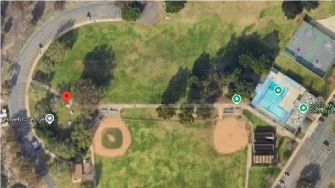 SDF Thanksgiving Potluck