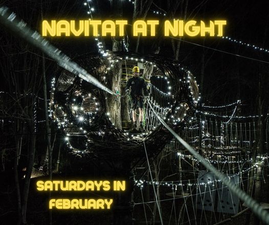 Navitat at Night