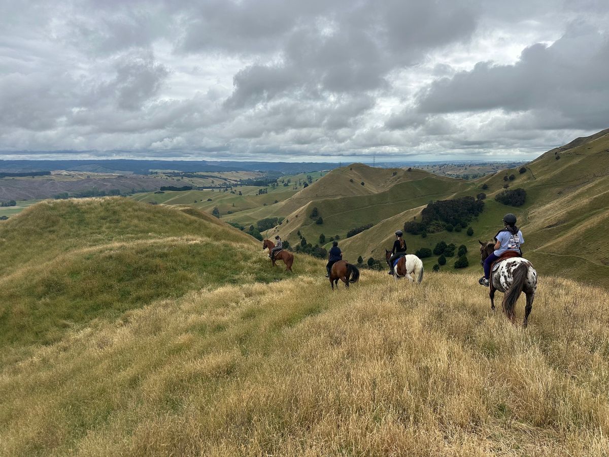 Waitangi Weekend Trail Rides and Camping