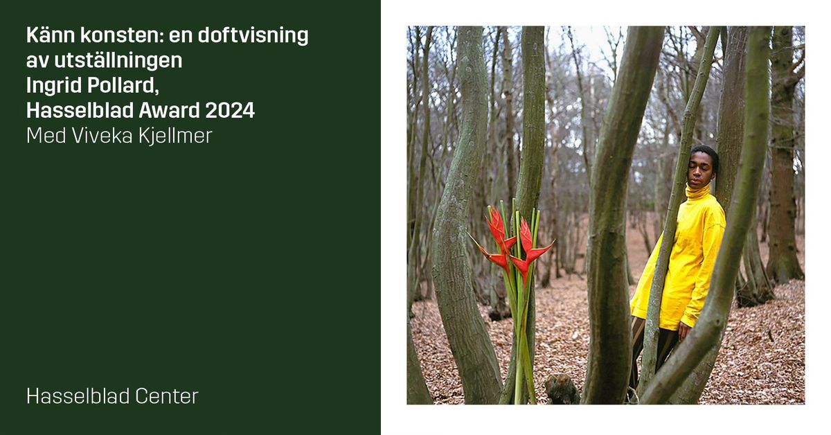 K\u00e4nn konsten: en doftvisning av utst\u00e4llningen Ingrid Pollard Hasselbladpriset 2024